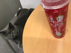 -德克士(虹桥火车站店)