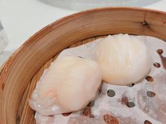 -寻味顺德·顺峰山庄(大良店)