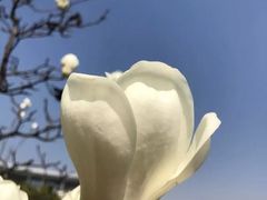 -南京中医药大学(仙林校区)