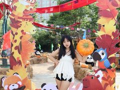 -灵玲国际马戏城