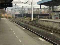 -绸都潮牛道(白土坝店)