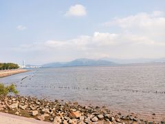 -深圳湾公园(南山区)