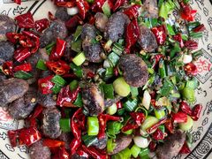 -铁山坪森林公园