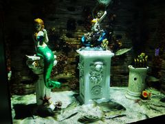 -上海海昌海洋公园