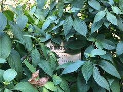 -广州神农草堂中医药博物馆
