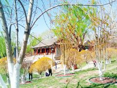 -万柳阁小馆·花园餐厅(龙潭湖店)