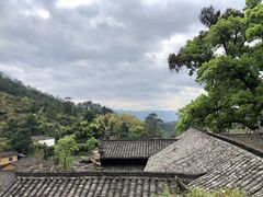 -杨家堂村