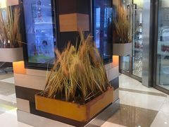 -伊藤洋华堂(温江店)