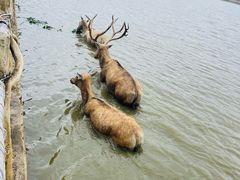 -宁波杭州湾国家湿地公园