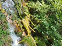 -五女峰国家森林公园