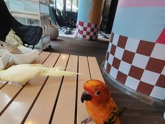 -莫多多餐厅