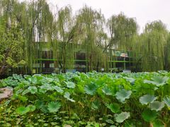 -莲湖公园