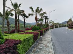 -明月山天沐温泉度假村