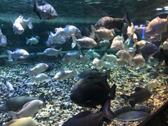 -成都浩海立方海洋公园