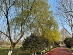 -滨湖塘西河公园