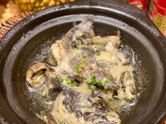 -邹开喜·炭炉鸡煲·海鲜火锅(虹口足球场店)