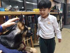 -美联众合宠物医院·爱萌分院·内外科·猫科中心