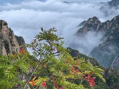 -黄山风景区