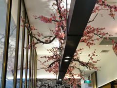 -老板恋上鱼(荣盛广场店)