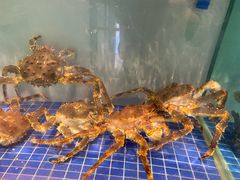 -外滩·云南人家(昆明旗舰店)