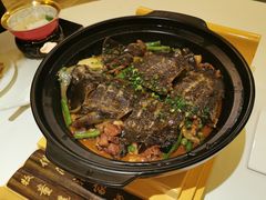 红焖中华鳖-许家菜(望江店)