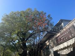 -香山公园