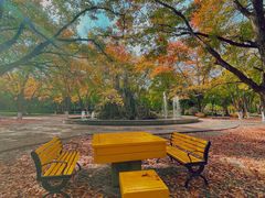 -山东大学(趵突泉校区)