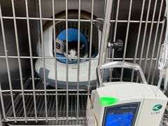 -联合动物医院(光谷诊疗中心)