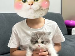 -小猫来了·猫舍(红山六九七九店)