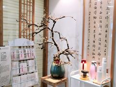 -承启堂中医馆·推拿·针灸(成华馆)