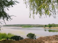 -丁香湖公园