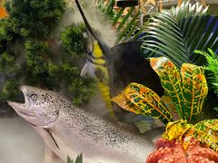 -水之梦(黄浦店)