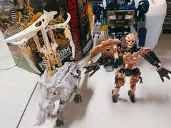 -TOYSRUS玩具反斗城(天津远洋乐堤港店)