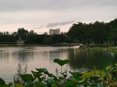 -荔湾湖公园