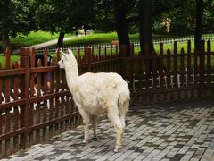 -西安秦岭野生动物园