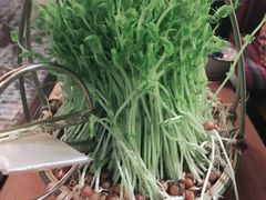 -大头椰·椰子鸡火锅(南宁万象城店)