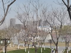 -西海子公园