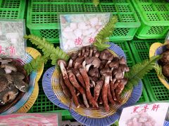 android_upload_pic-佳缘野生菌食府