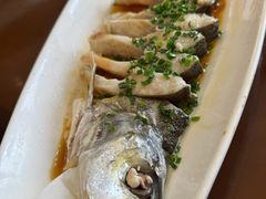 清蒸鸡油白水鱼-紫阳富豪大酒店(惠南店)