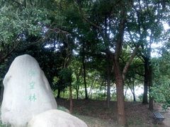 -蜀冈西峰生态公园