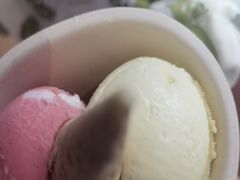 -极拉图·现制冰淇淋(大卫城店)