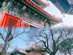 -北京艺术博物馆(万寿寺)