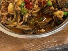 -龙小海荆沙鸽子店(瑞安街店)