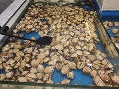-川骄海鲜自助(河东店)