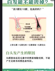 -Bollins波林丝•专研护发中心