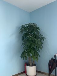 -普睿媞产后直营连锁(天鹅湖万达店)