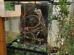 -上海大自然野生昆虫馆(东方明珠·爬宠昆虫探索中心)