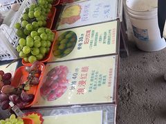 -马陆小张葡萄园农家乐