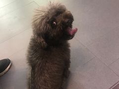 -联合动物医院(光谷诊疗中心)