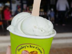 -Dooley's Premium Ice Cream